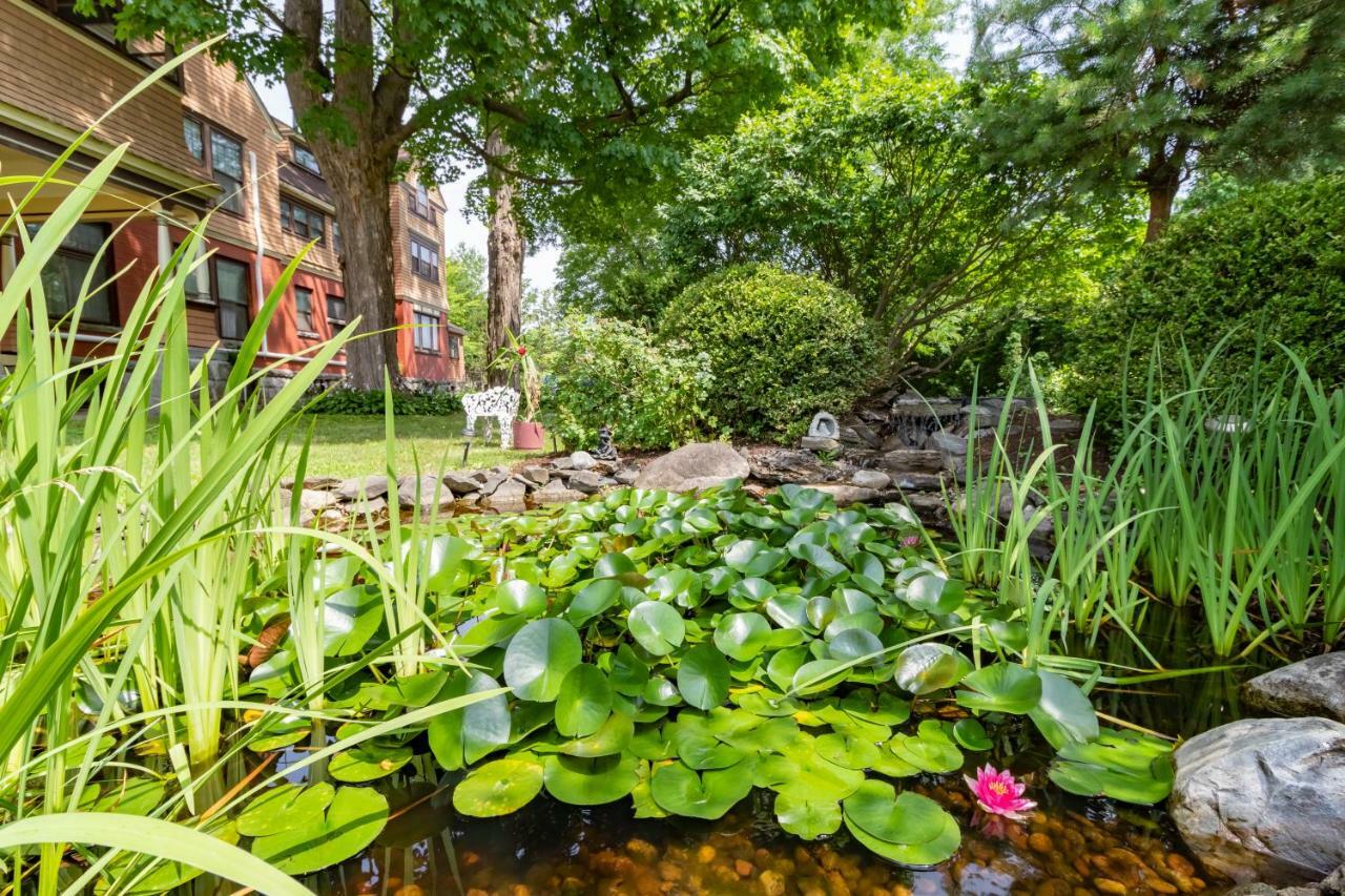 Saratoga Dreams Bed And Breakfast Saratoga Springs Esterno foto